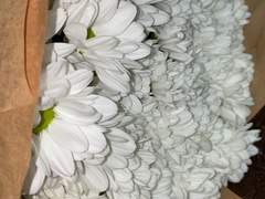 마지막이 꼭 좋지 않은 건 아니잖아