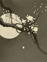 이화우 : 월하연인