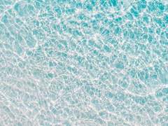 샤인 / XX / 17 / 샤인머스캣