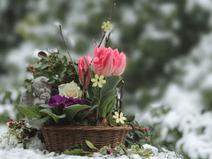 어느 겨울의 부고