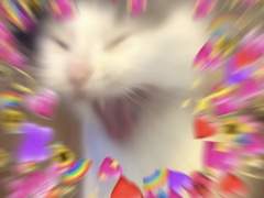 [뜰팁] 자작 에유