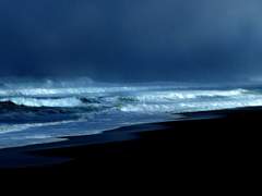 소각일을 잊지 말것