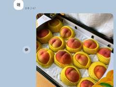 03 | 주술회전 TALK 드림