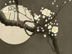 이화우 : 월하연인 上