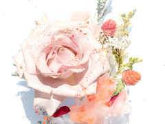 [ 도리벤 ] 휴재 공지