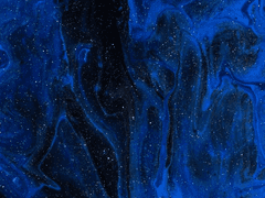 Their hidden memories?