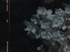 for your Galatea 상편