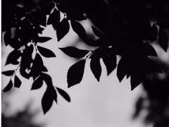 Chapter -2 Episode 44