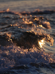 나의 리틀 머메이드