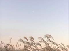 네게는 찰나였을 뿐인데 나는 여생을 연신 콜록대며 너를 앓는 일이 잦았다