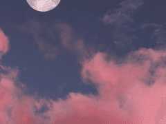 #4 꿈을 꾸는 기분