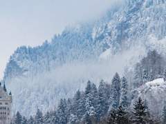 Hiless Nox Trofolium | 24 | 검술