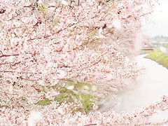 황태자x황태자비 썰 3.5부