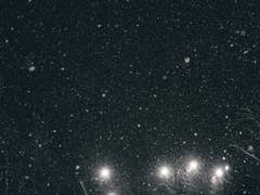 굿바이 화이트 아웃