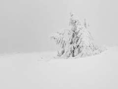 [나유시키] warm bodies