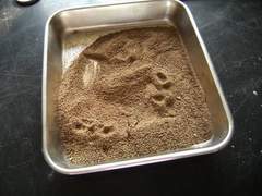 아직 최선을 다 하지 않았을 뿐