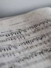 세포신곡 노래기반 단편소설