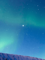 절대 싫어서가 아니다