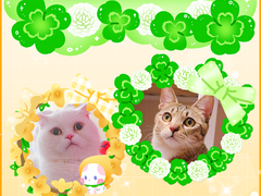 [해니마니] 봄 꽃 프레임