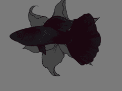 8월 팬아트 백업