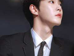 센티넬 클래식 IF