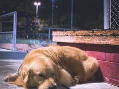 하이큐 드림썰 백업 6