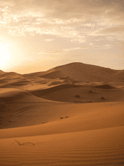 사하라-사랑하는 사람들을 위한 라디오