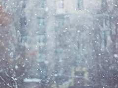 사그러지지 않는 열기