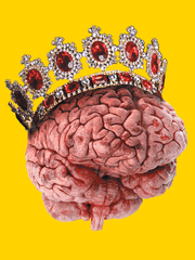 제밋는 교육만와