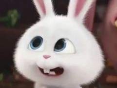 문제적 가이드_06