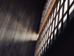 동백의 낙원 : 우물 퍼내기