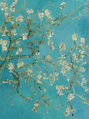 국제 전화 아카이브