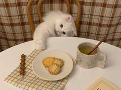 수싀 트윗백업 2월