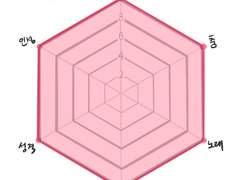 다년간 덕질로 느낀 천재 아이돌의 기본소양
