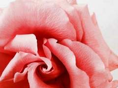 [랩진] MONO 24(clean ver.)