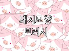 돼지브러시(수정)