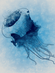 우리 해적단의 괴생물체에 대하여