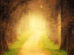 세계가 고요에 휩싸일 때