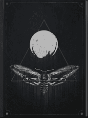 군체 빛의 이야기