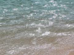 델 S. 라이츠 XX 스톡