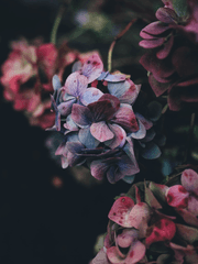 어른은 때때로 아이가 된다