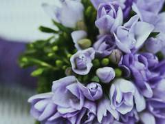 환자 정보 기록지