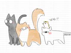 원휘 외 이것저것 백업