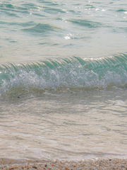 패널티의 지정 시간이 멈춥니다