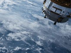 다정도 병인 양하여