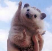 뻔하디 뻔한 빙의물 #가보자고 +