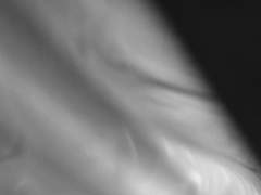 가끔은 흑백보다 회색이 낫다