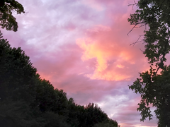 [편집본] 사랑한다, 말해주세요