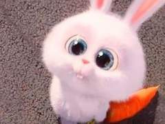 문제적 가이드_08