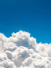 고죠 사토루 드림